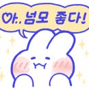 동이비어 이미지