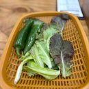 나무집 | 부산 금정구 두구동 갈매기살 맛집 포구 나무집 내돈내산 후기