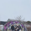 골프존파크팔탄구장2점 | 골프존파크동삭베스트,홍익돈까스,카카오프렌즈스크린,기타