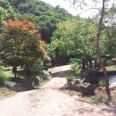 숲속가든캠핑장 이미지