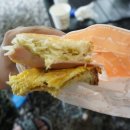 영월약수터 캠핑장 이미지