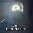 출근 그거 어떻게 안하는건데.