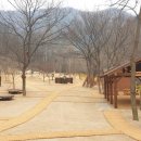 대흥동 유아숲체험원 이미지