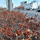 왕길근린공원 이미지