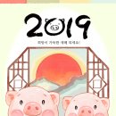 다비치안경원응암이마트옆점 이미지