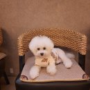 휴테라피 이미지