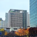 이비스 스타일 앰배서더 강남 | 이비스 스타일 앰배서더 서울 강남 비즈니스 출장객용 가성비 호텔 위치, 주차, 가격 및 슈페리어 더블...