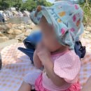 진전농협하나로마트 대정지점 이미지