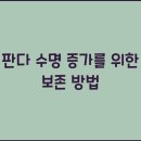 판다판다판다