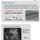 도들두들