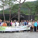 금산인삼전문점 이미지