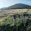 재약산 숲 야영장 이미지