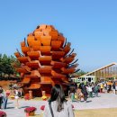 세무법인푸른솔울산 | 2023 강원세계산림엑스포, 고성 잼버리장 솔방울전망대 후기 ♥