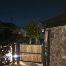 소락뜨레 이미지