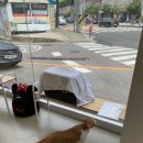 불광동물병원 이미지