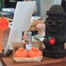 스시가탐나도 이미지