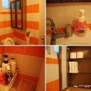 금대리828 | [가평 마이다스펜션 세이지] 처음가본 애견펜션에서의 1박2일