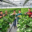 청도비닐 이미지