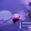 SNP모터스 이미지