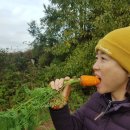 뽑아볼까 앙 이미지