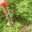 노을이슬 이미지