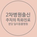 딜리동물병원 이미지