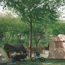 그늘막118 이미지