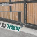 개토피아 이미지