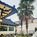 양을로 | [목포 브런치 카페] 카페 야자수 샐러드밥 인기메뉴 솔직 후기!