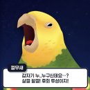 창신식당
