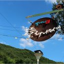 나무아래 이미지