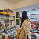 펀빌리지 협동조합 | [전라도] 조용한 힐링을 원한다면 군산 뚜벅이 여행 추천해