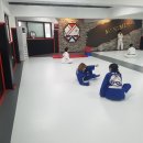 민앤마이노 유도&주짓수 이미지