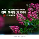 도화뜨락 | 대구 하목정(霞鶩亭) 400년고택 배롱나무꽃 어우러짐 【21년7월18일】