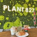 24/7플랜드 | 제주 빵지순례 제주도 빵집 제주시내 카페 플랜트 827