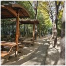 바른부동산중개사무소 네이버블로그