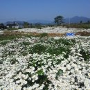 대동농원 이미지