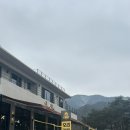 디코이덕