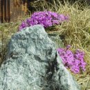 (주)혜경 이미지