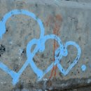 카페독스 이미지