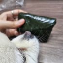 경동떡방앗간 - 남구 동명로 152 | [강서구 양천향교역 맛집] 당일 생산 쫀득함이 미친 내돈내산 ‘마곡떡집’ 답례떡 추천