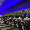 아크로짐 마곡점 | 아크로짐 마곡점 PT후기(Feat.가슴운동을 곁들인...)