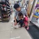 세븐일레븐 천안성정점 이미지