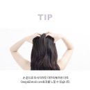 인리커버리 | [후기] 셀리그램 스칼프 인 리커버리 리페어 앰플