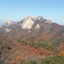 효신 행정사사무소 이미지