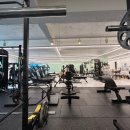 웰니스 피트니스 이미지