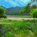 옥천민박 이미지