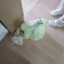 범곡휴먼시아 | 대구 구옥 곰팡이제거 이사청소 잘하는곳 #청도 출장기