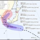태풍이네 이미지