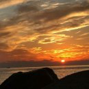 (주)울릉도여행사